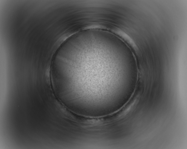 X0000094340937200711162007