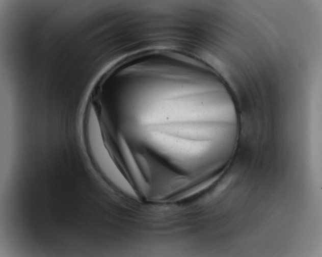 X0000094340939200711162007