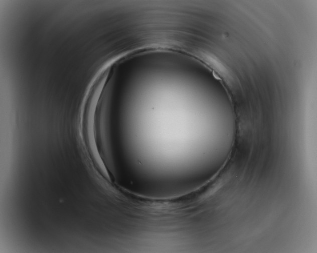 X0000094340940200711162007