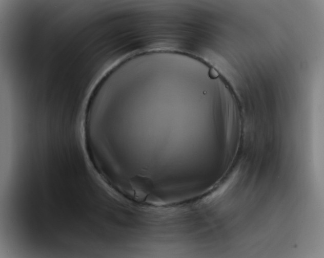 X0000094340941200711162007