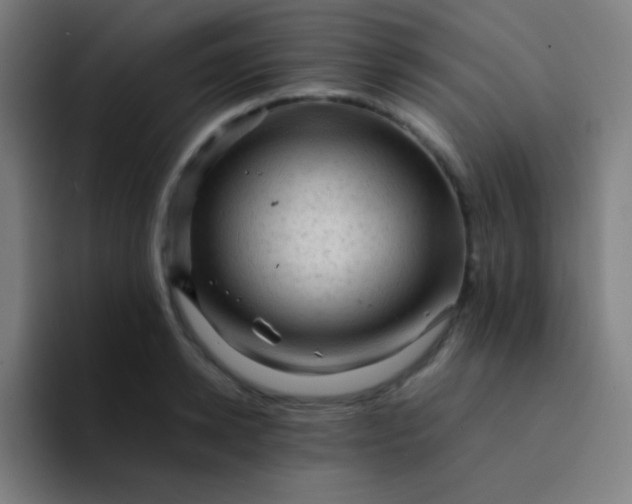 X0000094340942200711162007