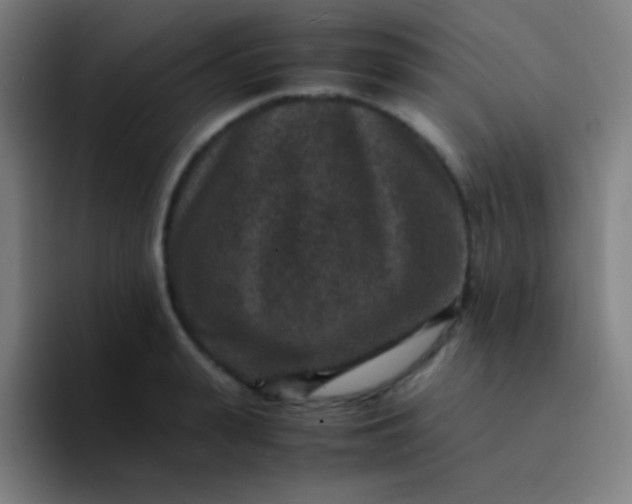 X0000094340943200711162007