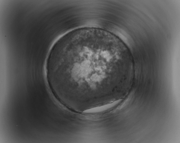 X0000094340944200711162007