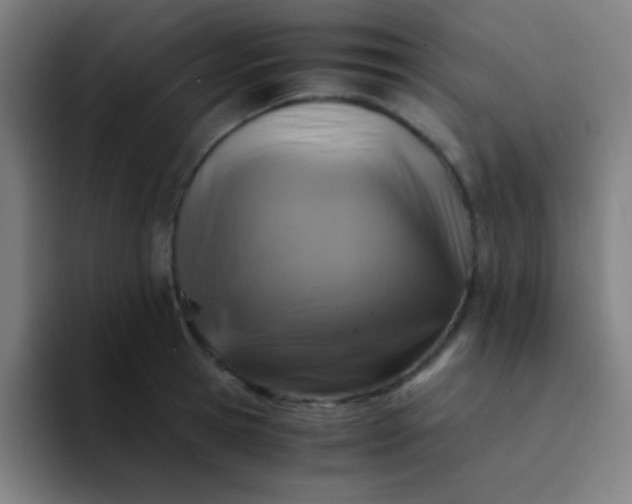 X0000094340945200711162007