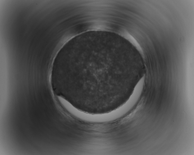 X0000094340946200711162007