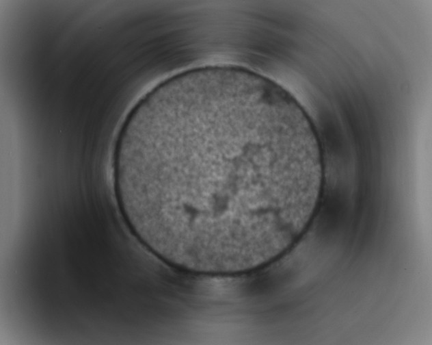 X0000094340950200711162007