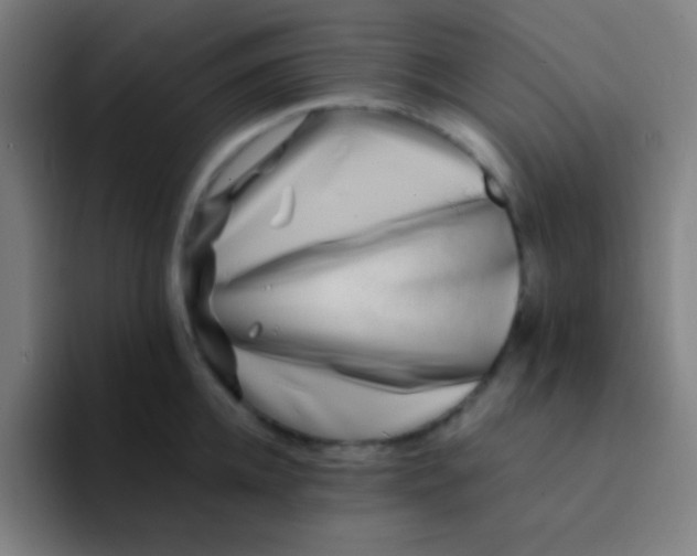 X0000094340952200711162007