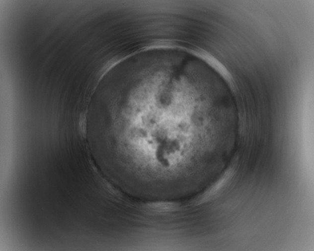 X0000094340953200711162007