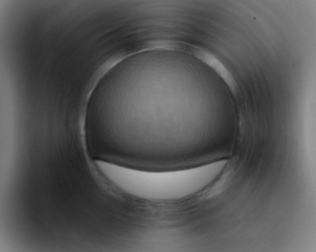 X0000094340954200711162007