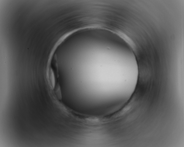 X0000094340956200711162007