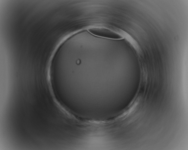 X0000094340958200711162007