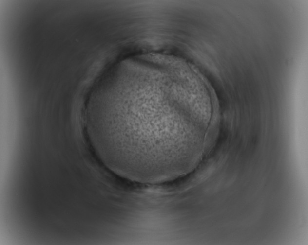 X0000094340961200711162007