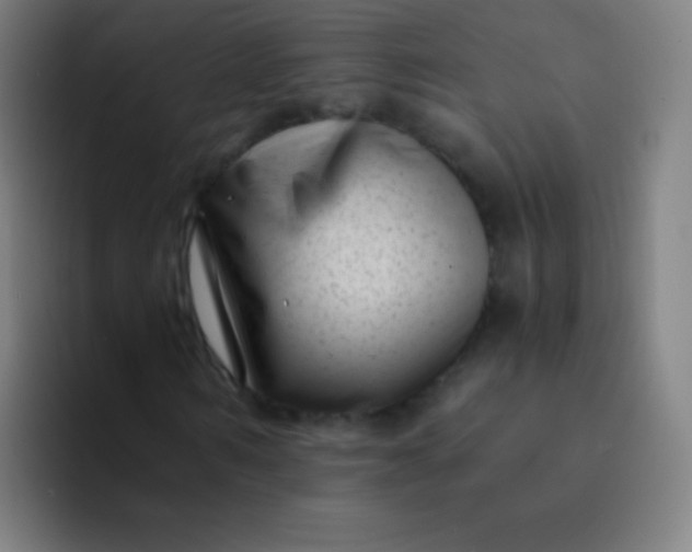 X0000094340962200711162006