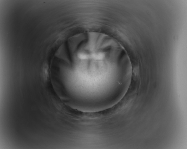 X0000094340963200711162006