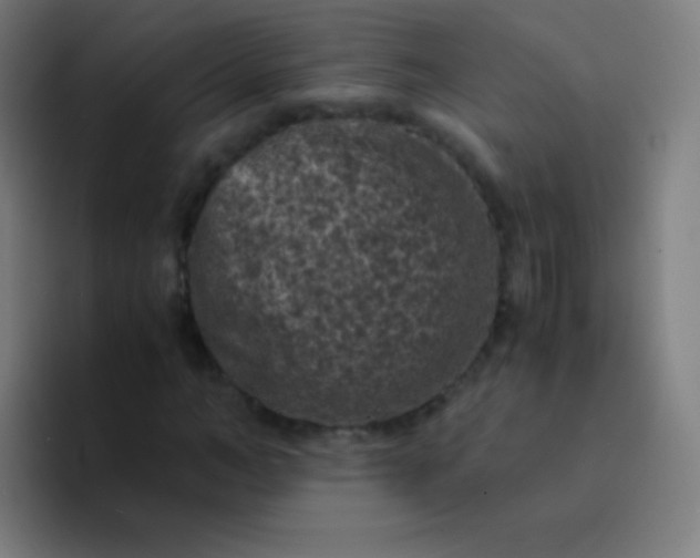 X0000094340966200711162006