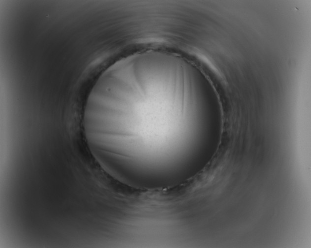 X0000094340967200711162006