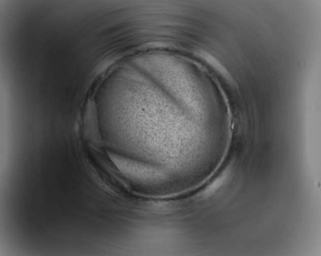 X0000094340969200711162006