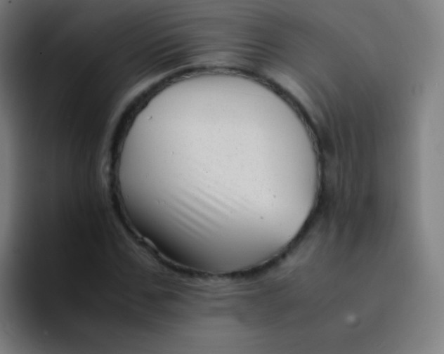 X0000094340971200711162006