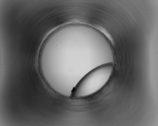 X0000094340972200711162006