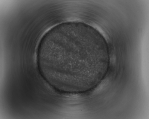 X0000094340975200711162006