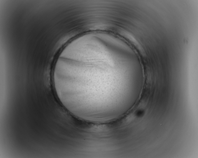 X0000094340978200711162006