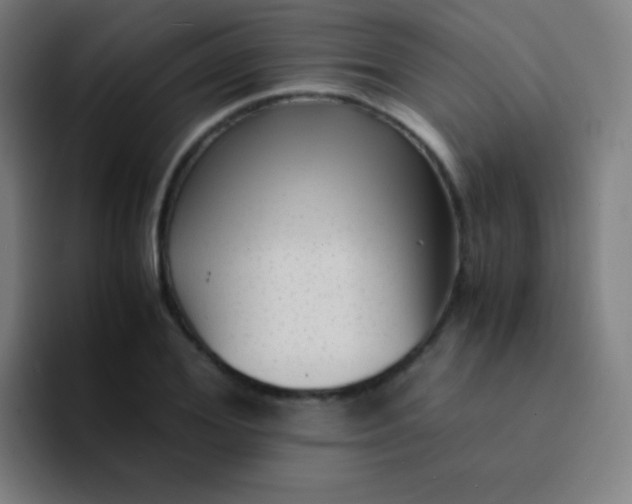 X0000094340980200711162006