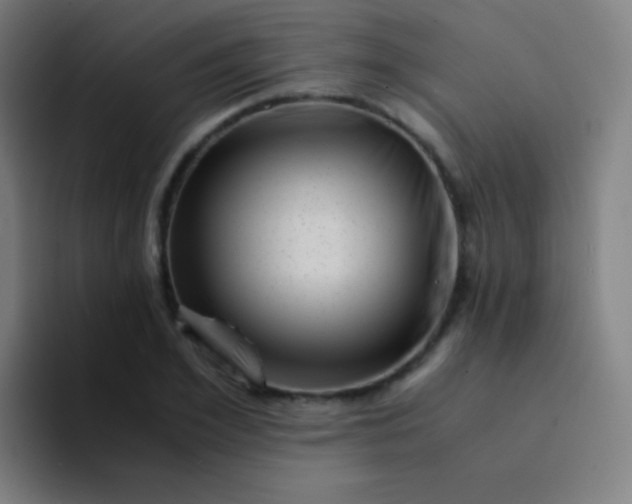 X0000094340981200711162006