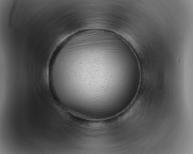 X0000094340982200711162006