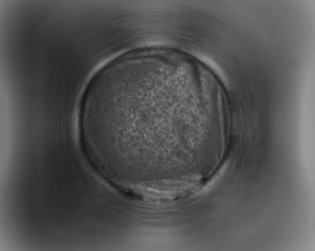 X0000094340983200711162006