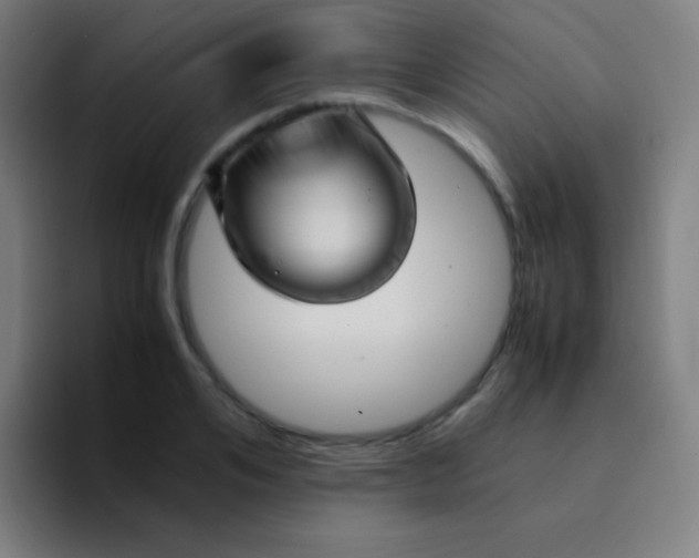 X0000094340984200711162006