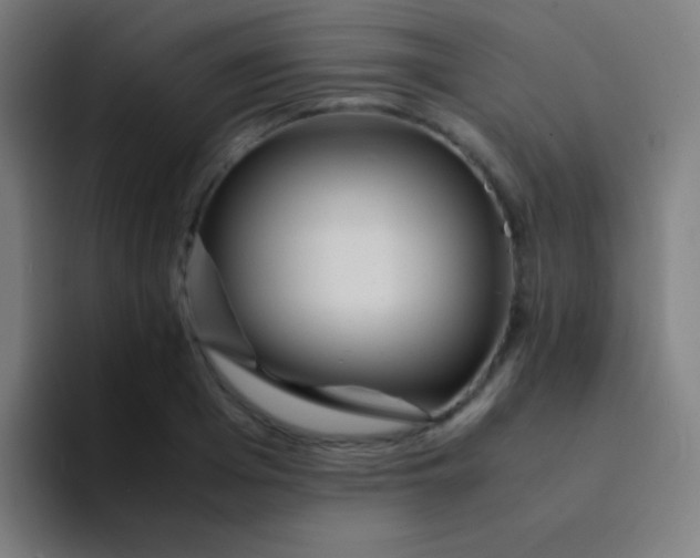 X0000094340985200711162006