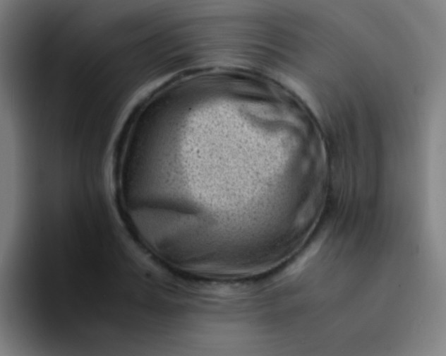 X0000094340987200711162006