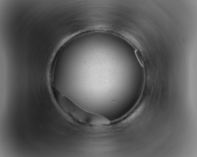 X0000094340989200711162006