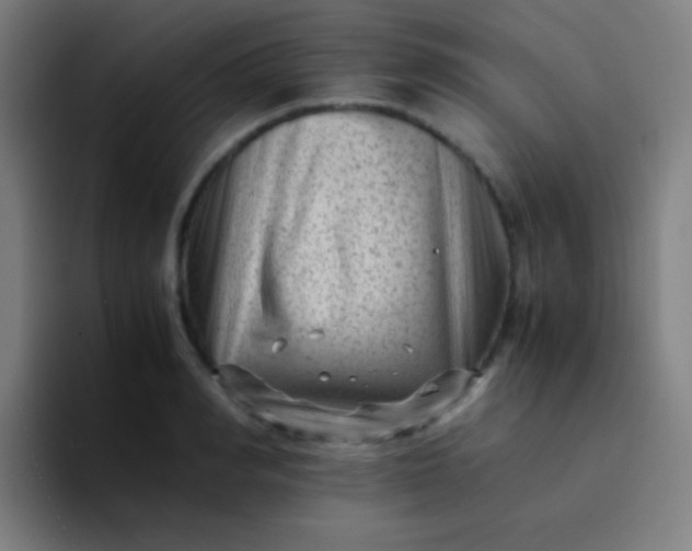 X0000094340990200711162006