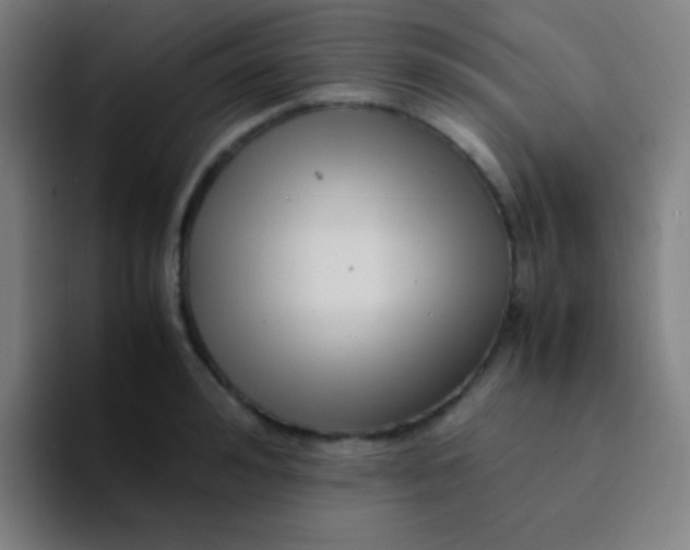 X0000094340992200711162006