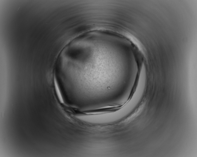 X0000094340993200711162006