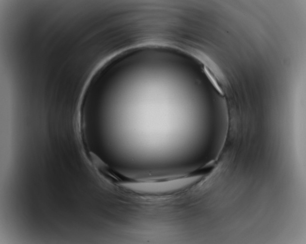 X0000094340996200711162006