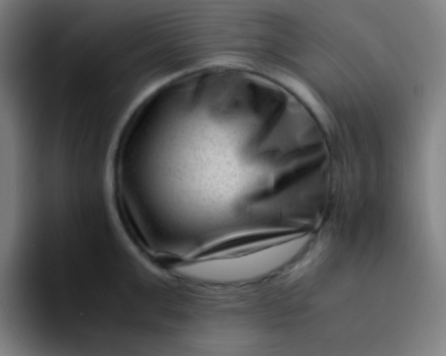 X0000094340999200711162006