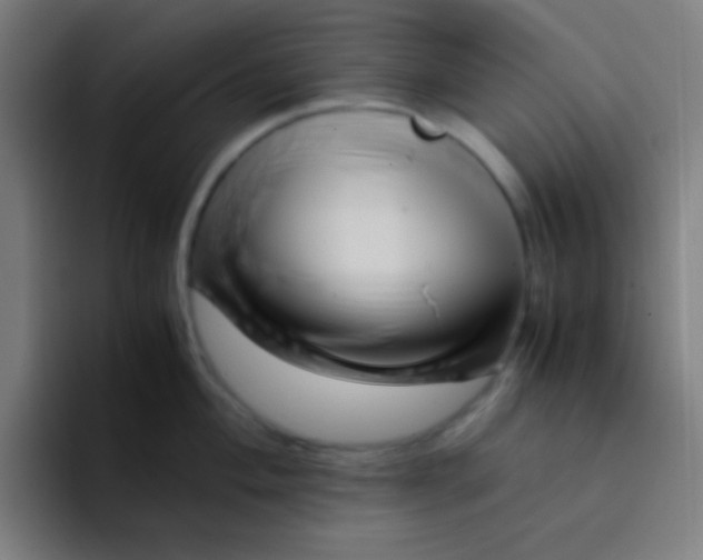 X0000094341004200711162006