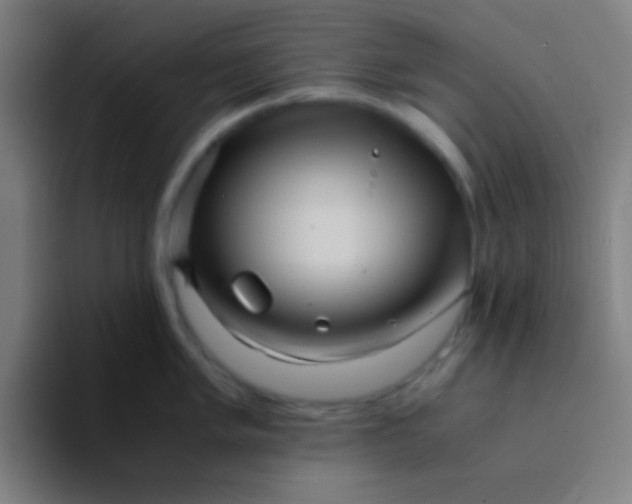 X0000094341005200711162006