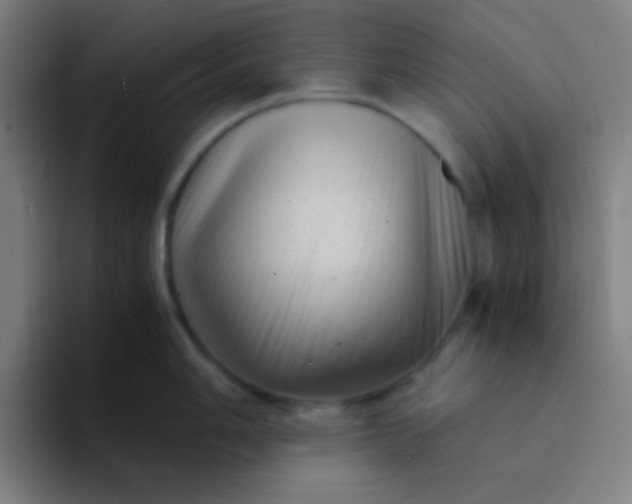 X0000094341006200711162006