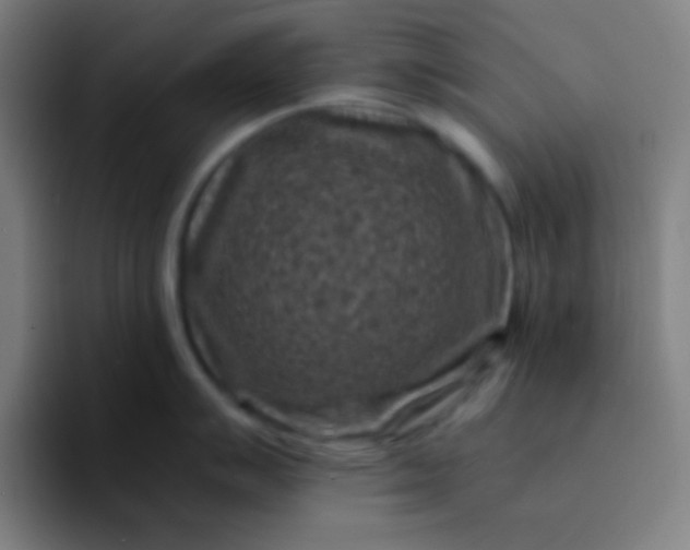 X0000094341007200711162006