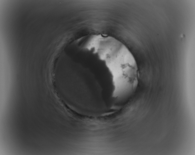 X0000094341009200711162005