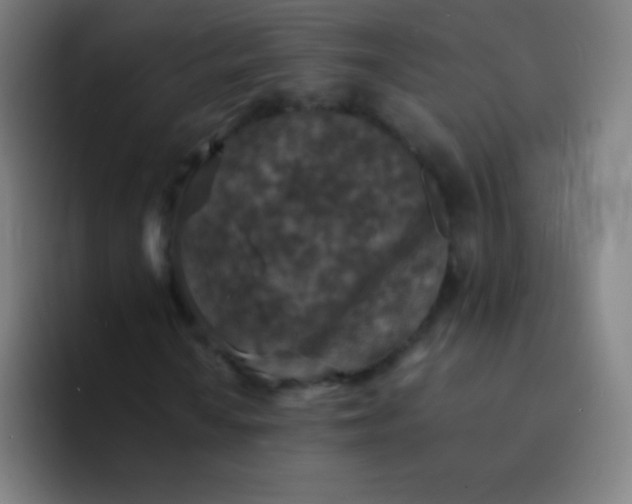 X0000094341010200711162005