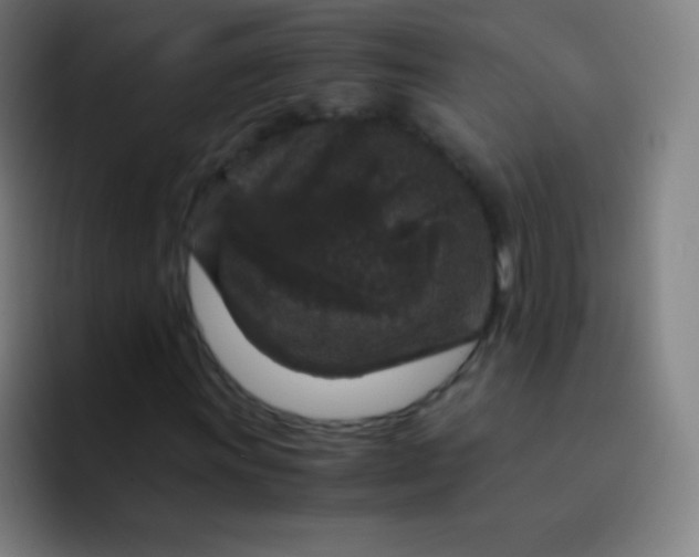 X0000094341011200711162005