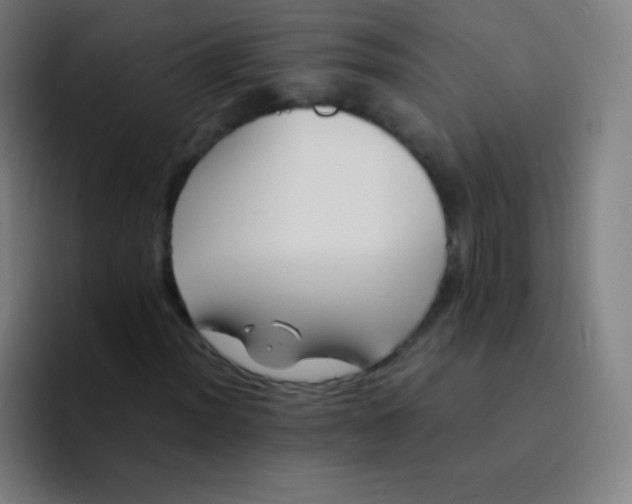 X0000094341012200711162005