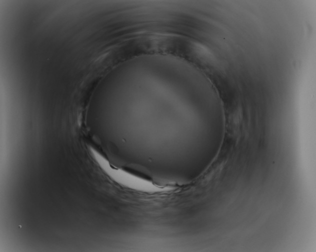 X0000094341013200711162005