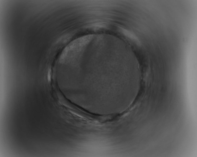 X0000094341014200711162005