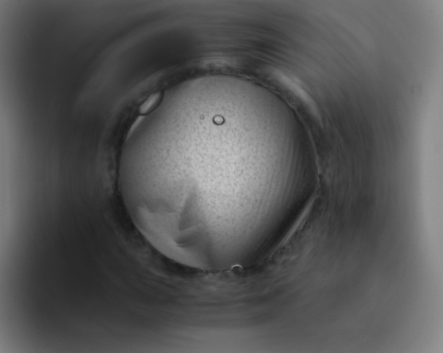 X0000094341015200711162005