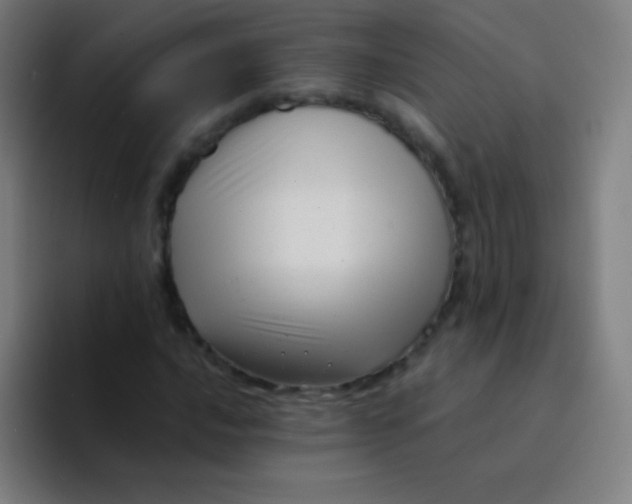 X0000094341016200711162005